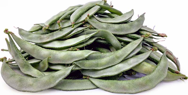 BANGLA SEEM (COUNTRY BEANS) 10KG ITALIA