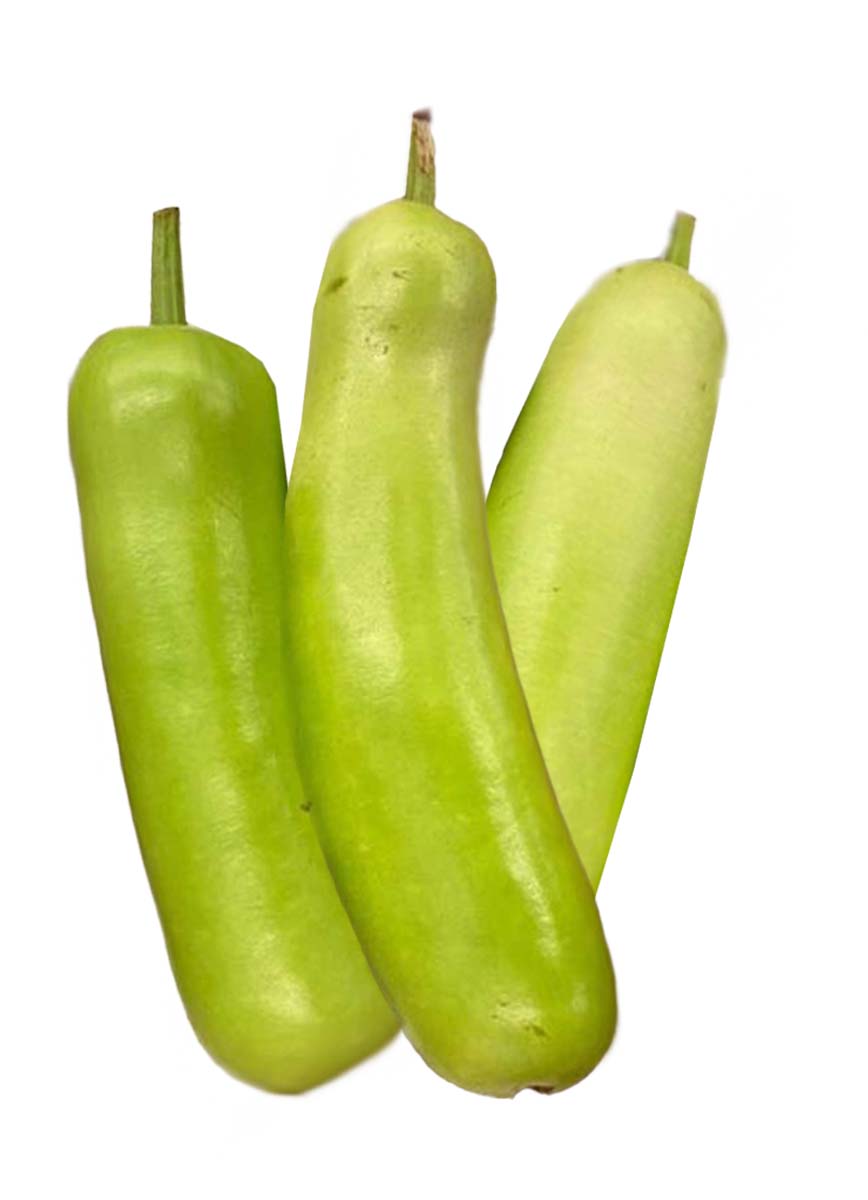 DUDHI/LONG 15KG MEXICO