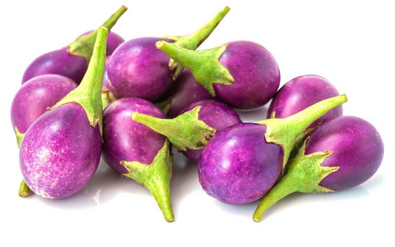 MELANZANE VIOLE (EGGPLANT) MESSICO 4KG