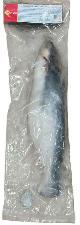 PANGASIO WHOLE  1000/2000G 8KG
