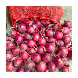 SMALL ONION / CIPOLLA PICCOLA IND 10kg