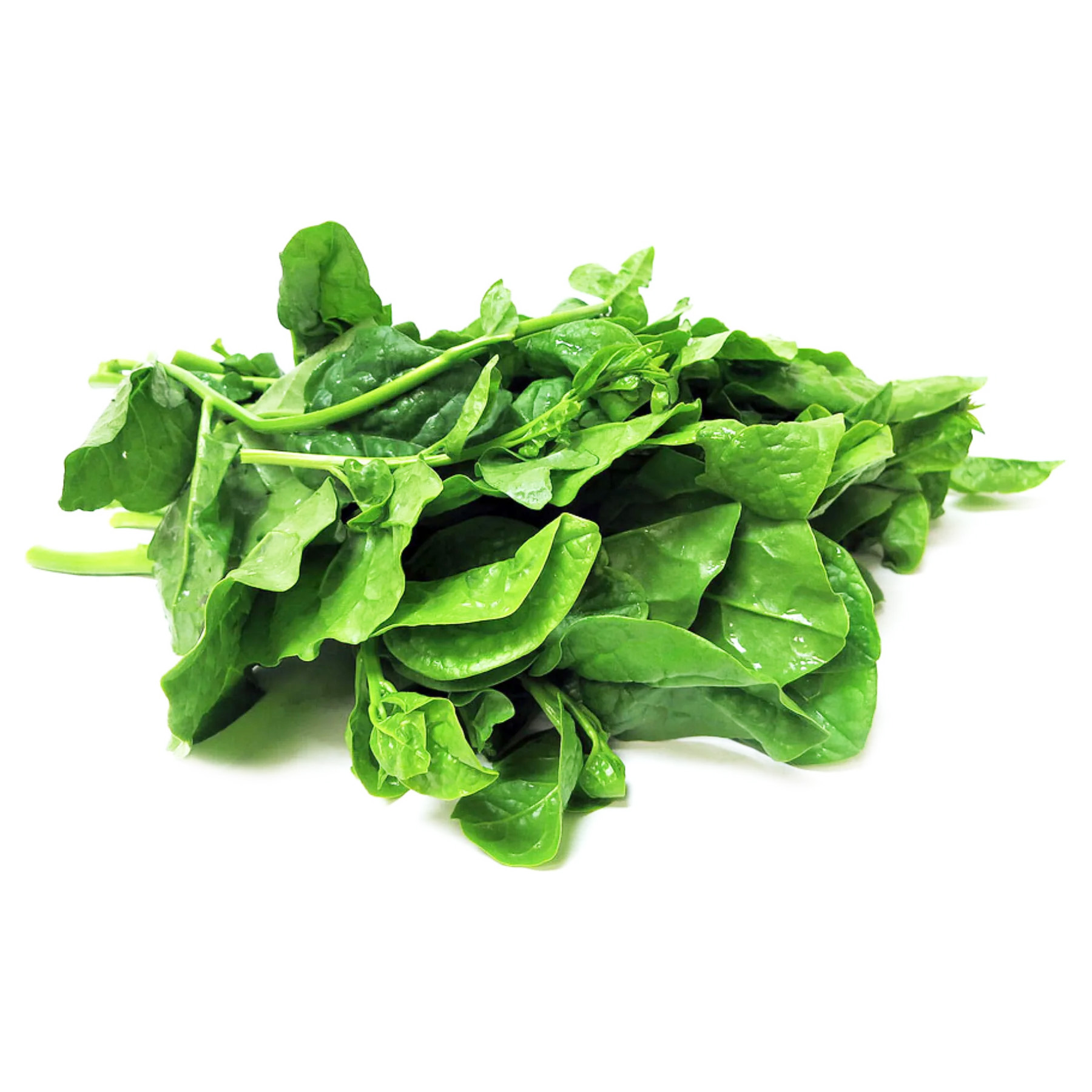 PUI SAAG 8KG