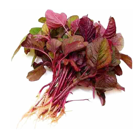 LAL SAAG 6KG