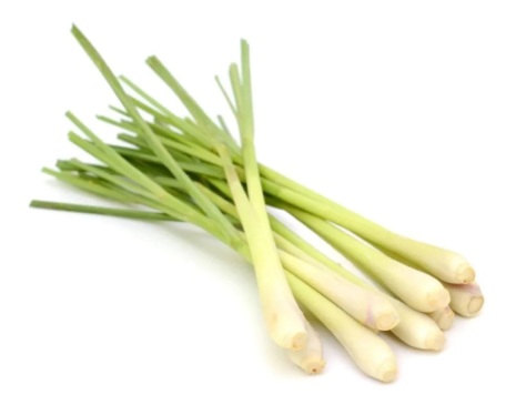 LEMON GRASS AL KG