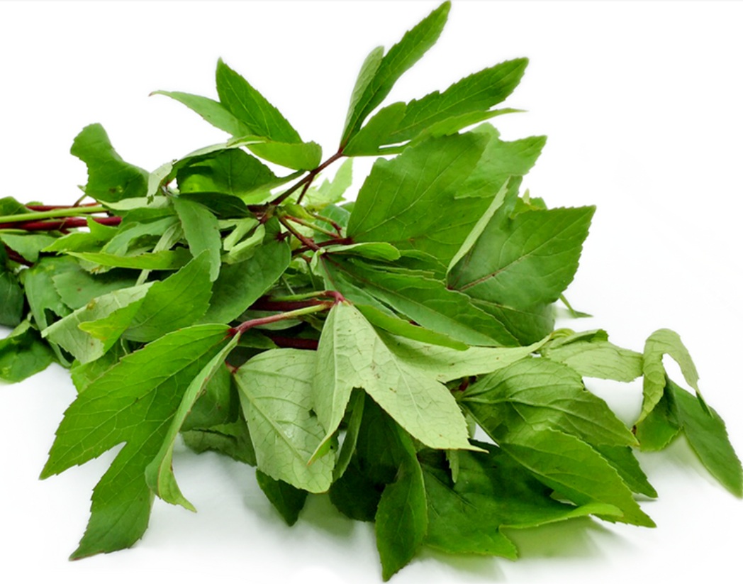 GONGURA LEAVE/PULICHAKEERI 5KG