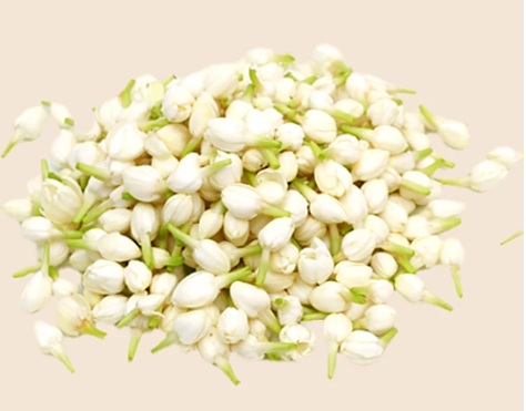 JASMINE FLOWER