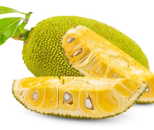 JACKFRUIT (MALAYSIA)