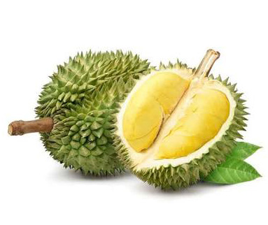 DURIAN 10KG