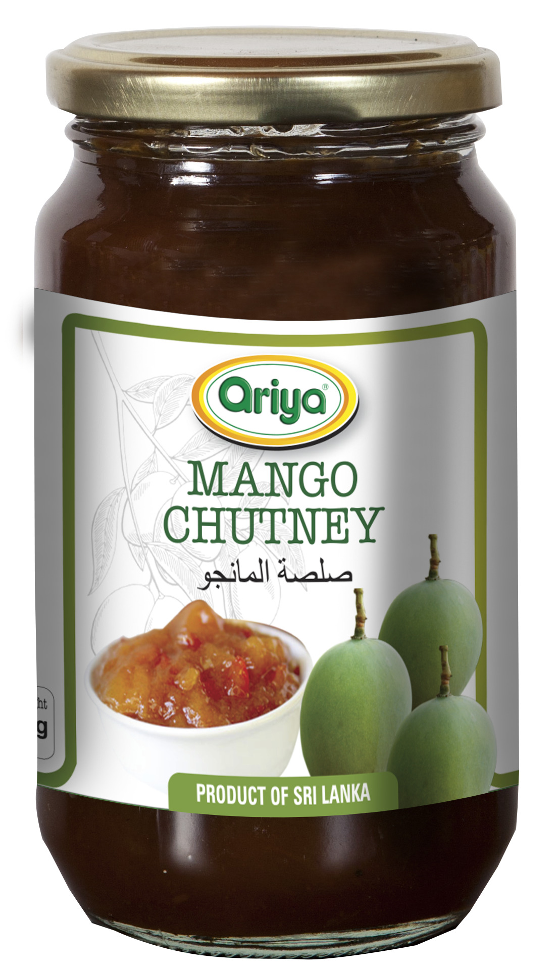 ARIYA MANGO CHUTNEY 12X450G