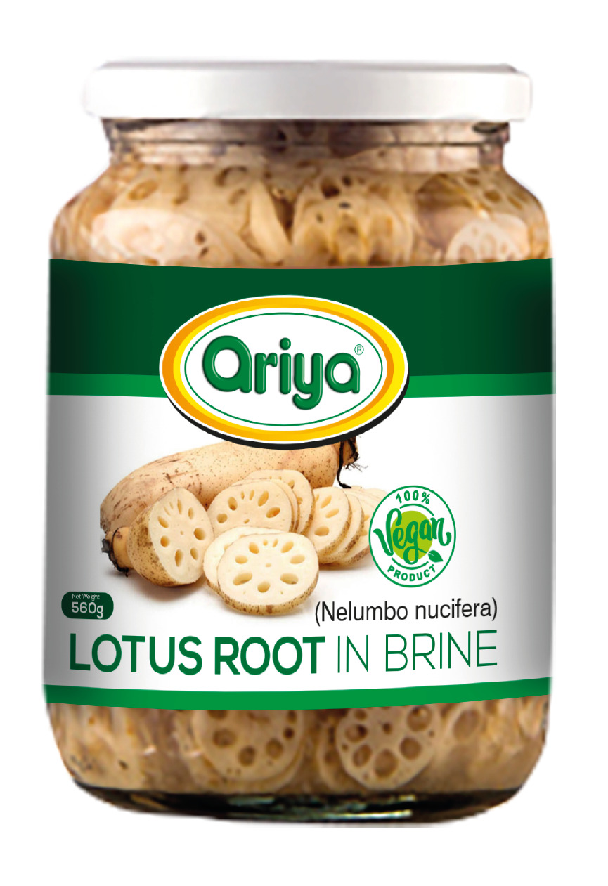 ARIYA LOTUS ROOT IN BRINE 12X560G