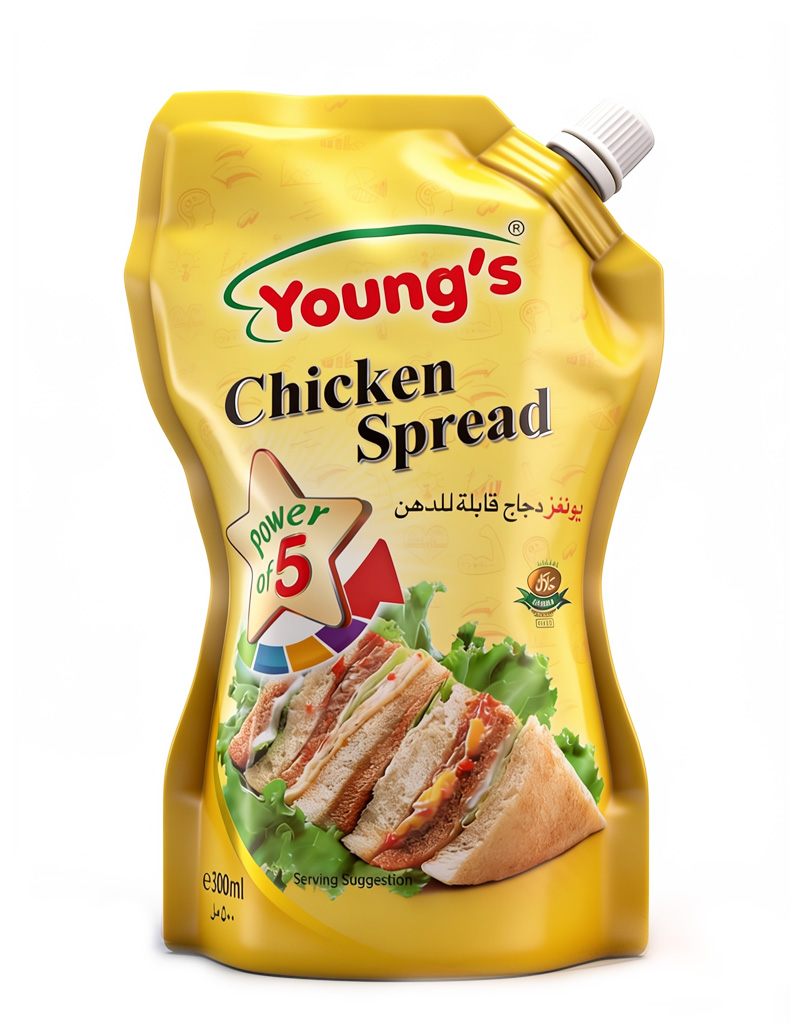 YOUNG'S CHICKEN SPREAD CLASSIC 12X500ML
