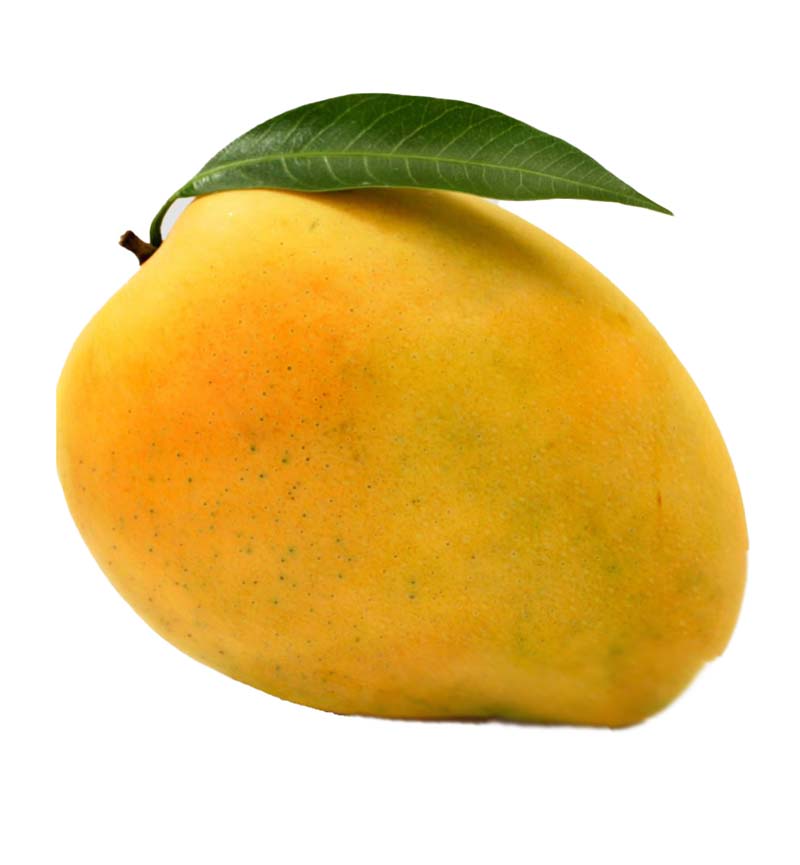 MANGO RIPE S.DOMINGO 2KG