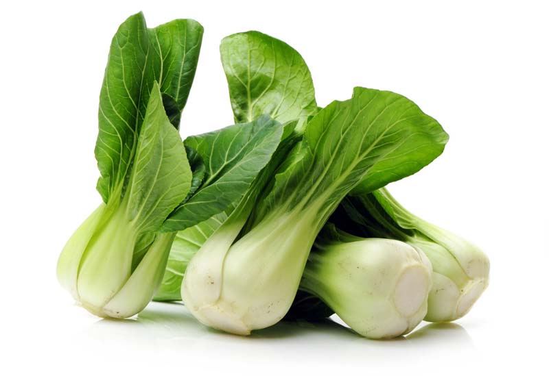 PAK CHOI 8KG SPAGNA