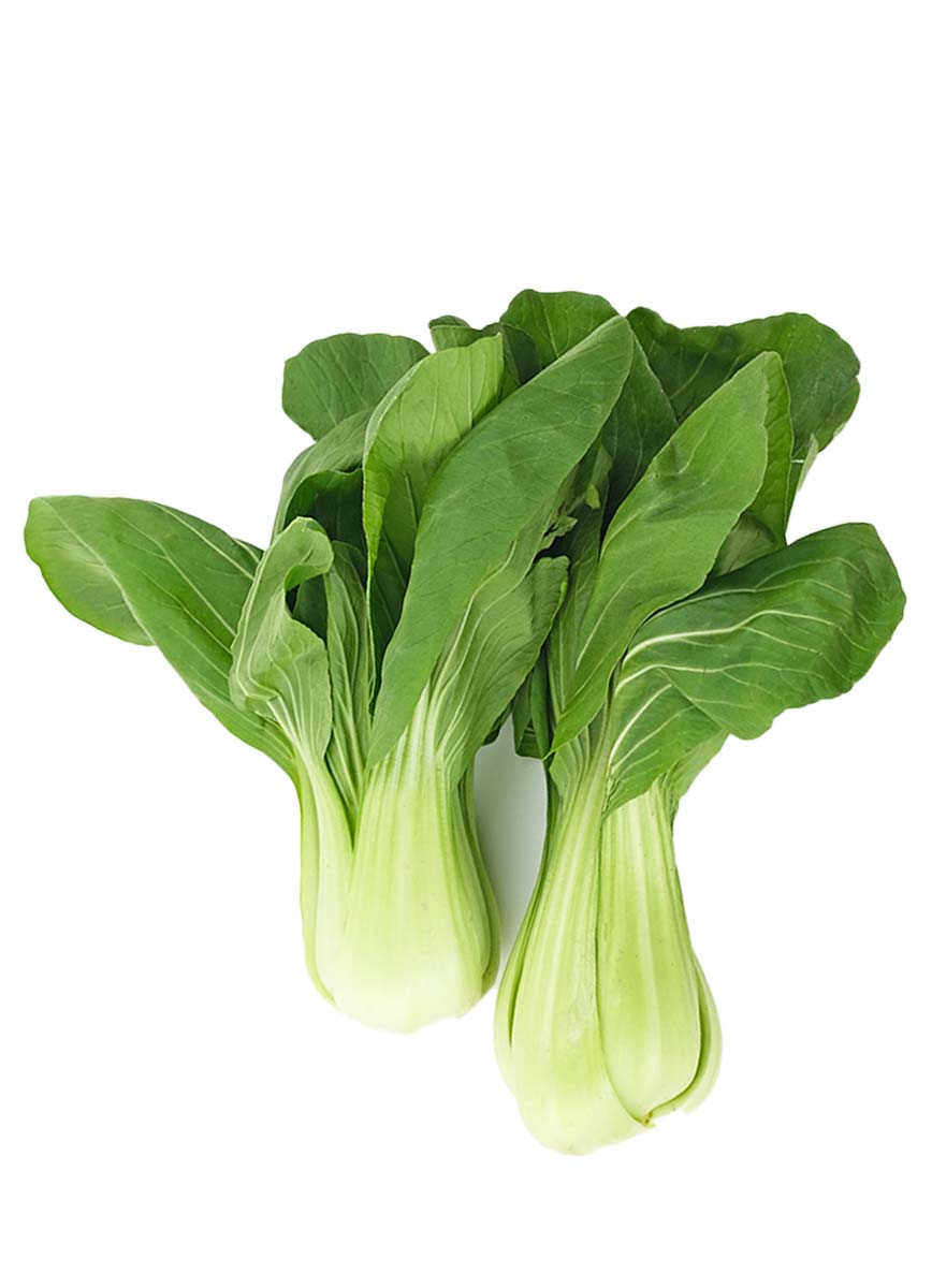 PAK CHOI ITALIA 8KG