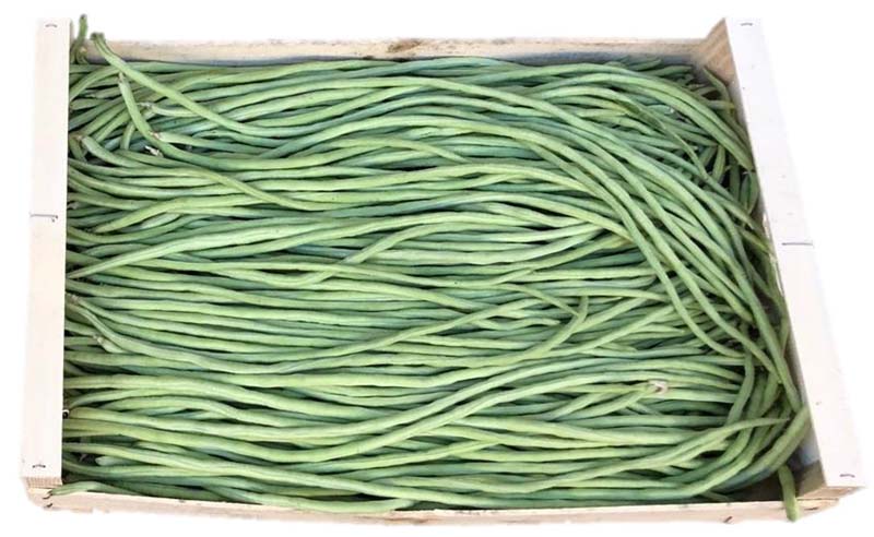 LONG BEANS MEXICO 6KG
