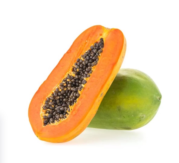 PAPAYA SP