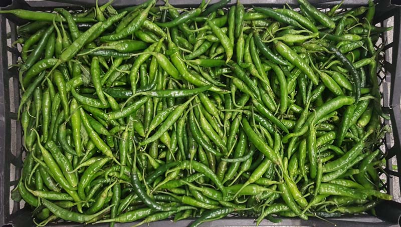 CHILLI VERDE 4KG***