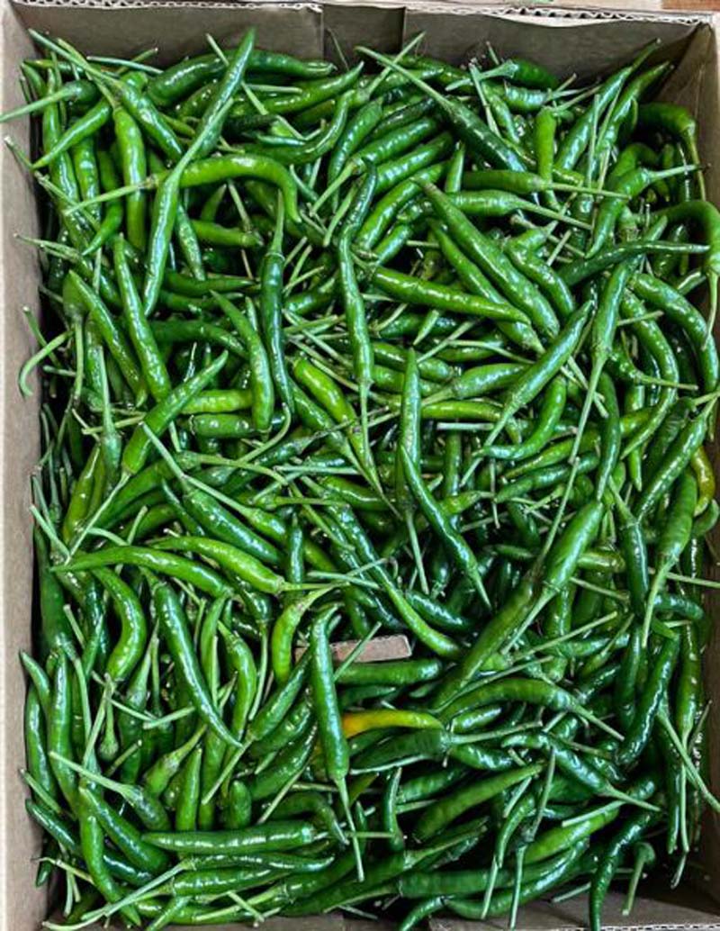 CHILLI VERDE 5KG INDIA