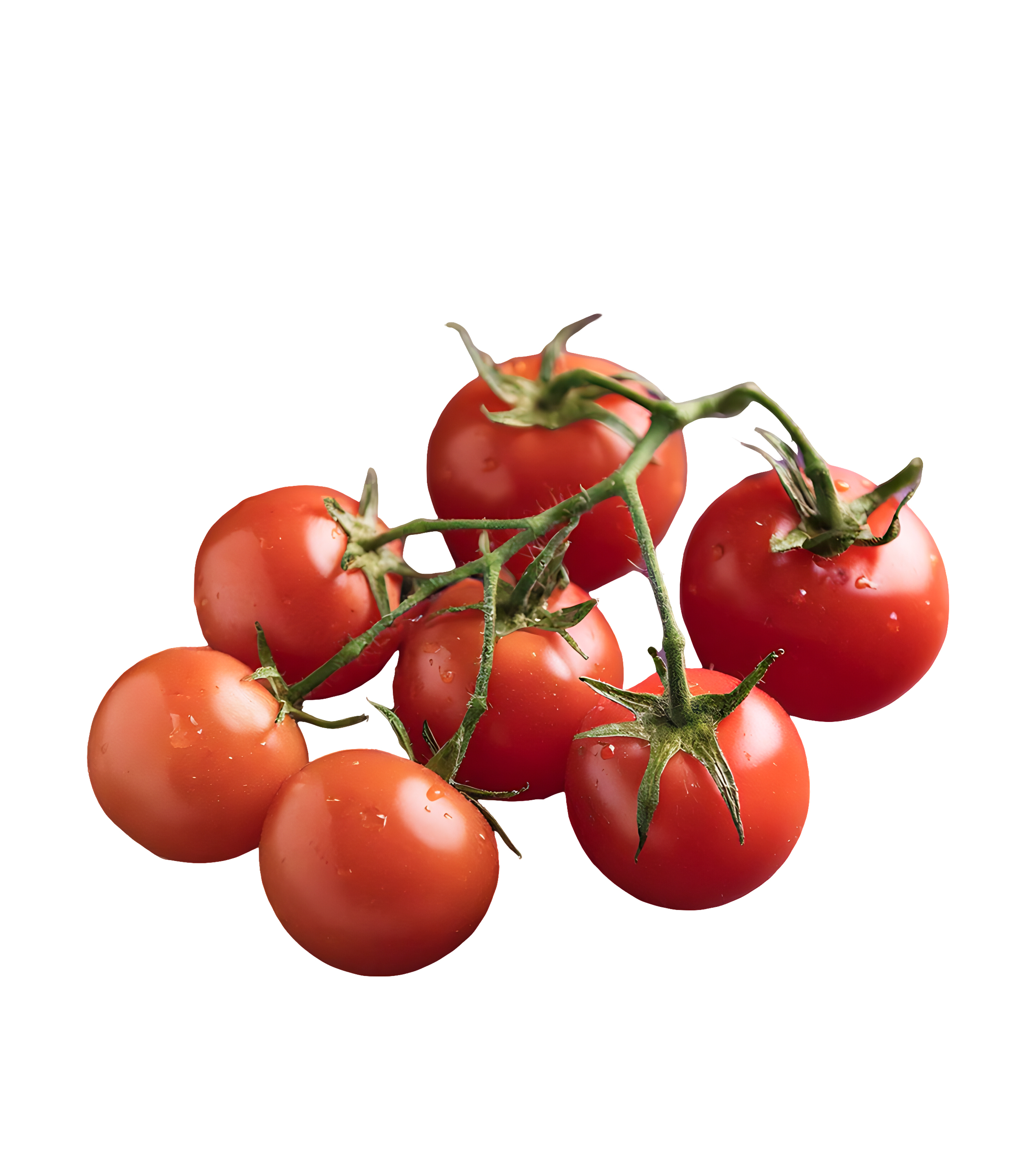 POMODORO RAMATO OLANDA 5KG