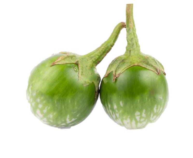 RAVAYA PURPLE 7KG