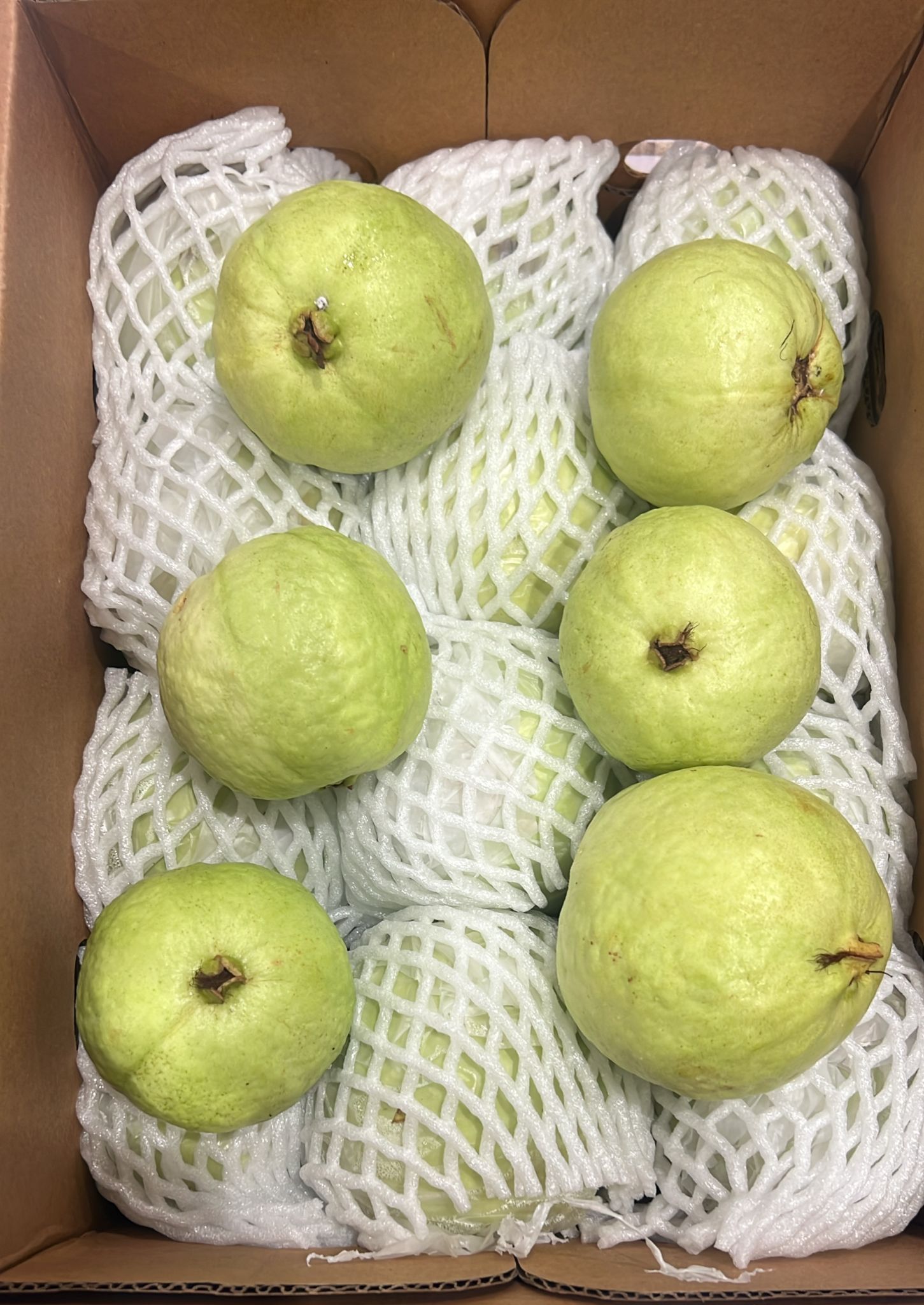 GUAVA INDIA 5KG