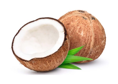 NOCE DI COCO INDIA 40 PEZZI