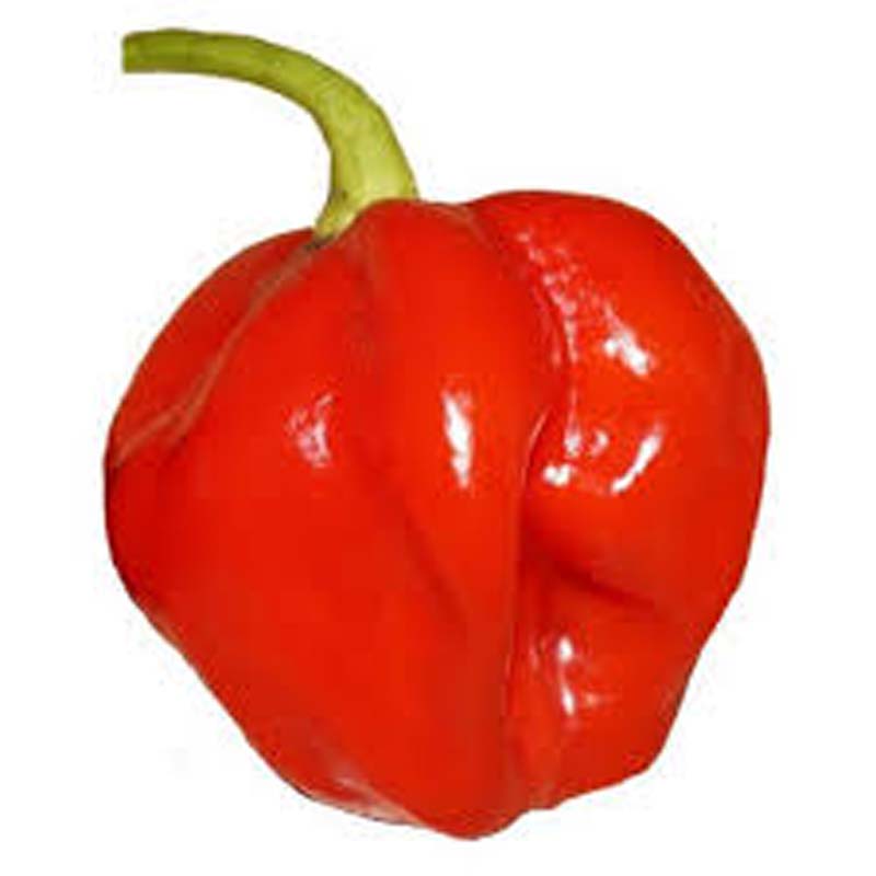 YELLOW HOT PEPPER 2KG