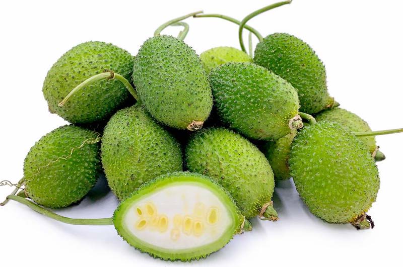 BANGLA VERD KAKROL 5KG - FreshTropical