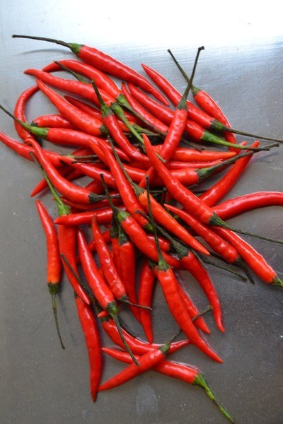 RED CHILLI  5KG ITALIA