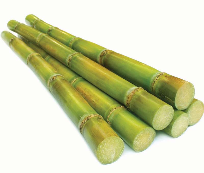 BANGLA VERD AKK/GANDARI (SUGAR CANE) 5KG