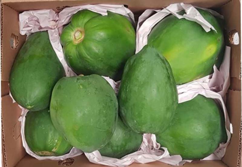 PAPAYA VERDE/GREEN MESSICO 12KG