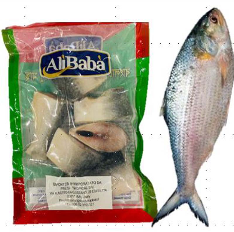 BD BLOCK HILSA (STEAKS) 12X500G