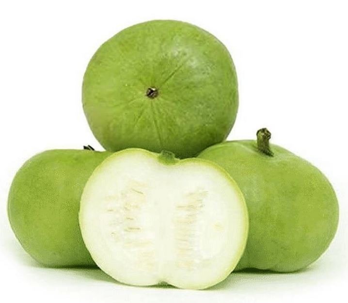 TINDA SPAIN 4KG
