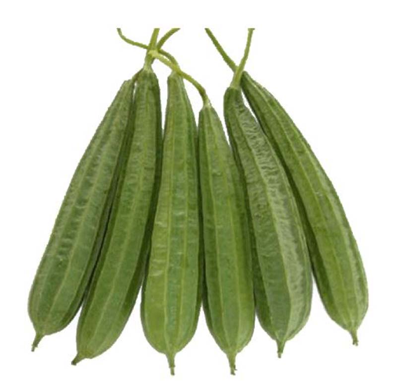 TURIA/CHINESE OKRA 5KG