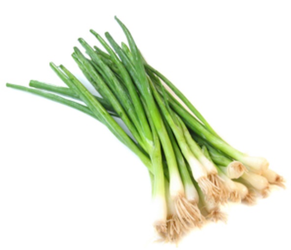 SPRING ONIONS LONG 14PZ 2.5KG EGYPT