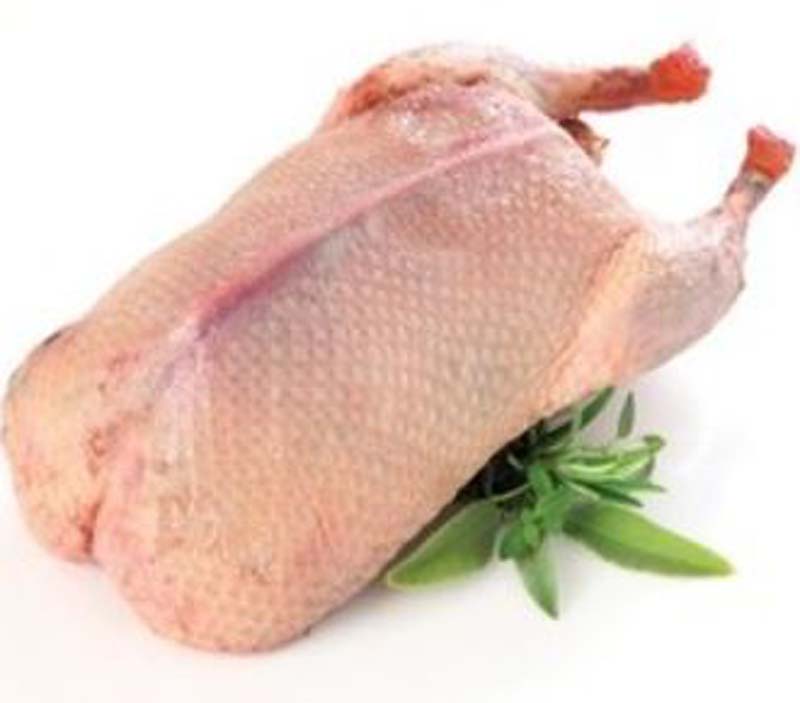 ANATRA HALAL CONG. 6x2KG
