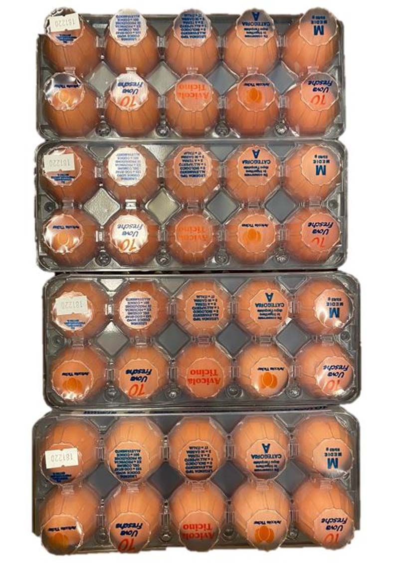 UOVA CONF. 200PZ CAL. M